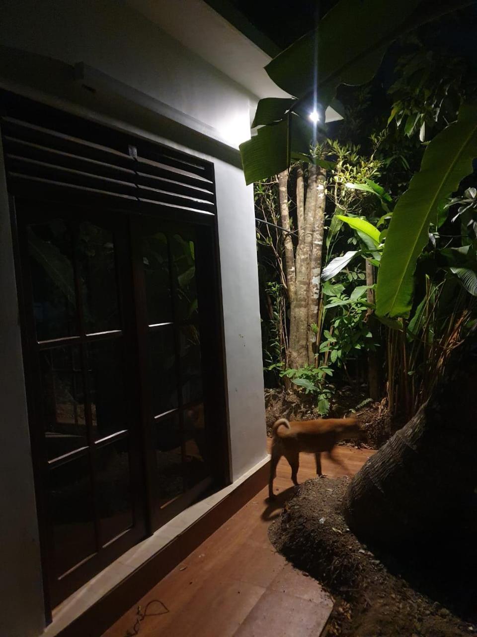 Jack's House view 4