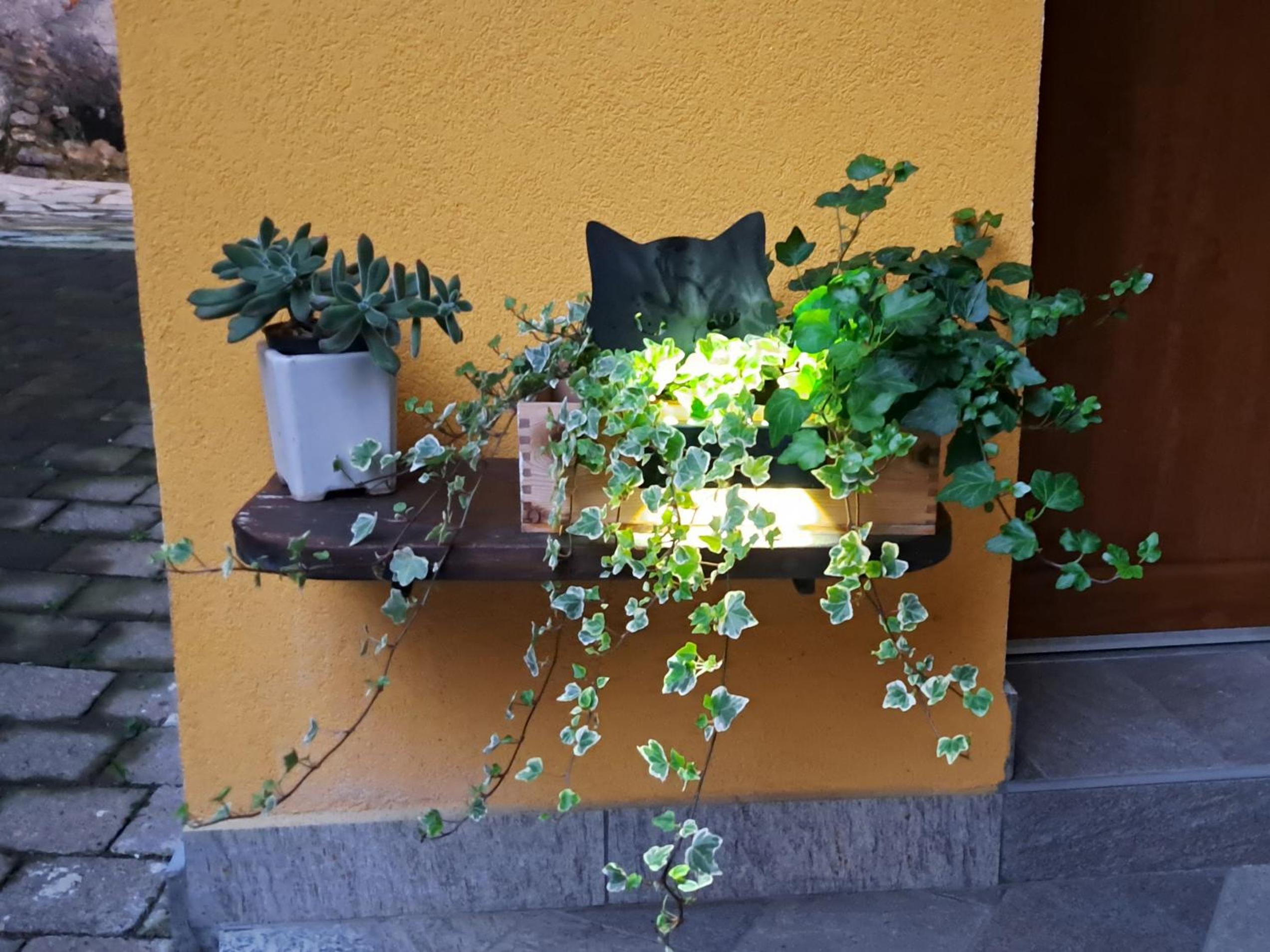 Ermele's Green House view 5