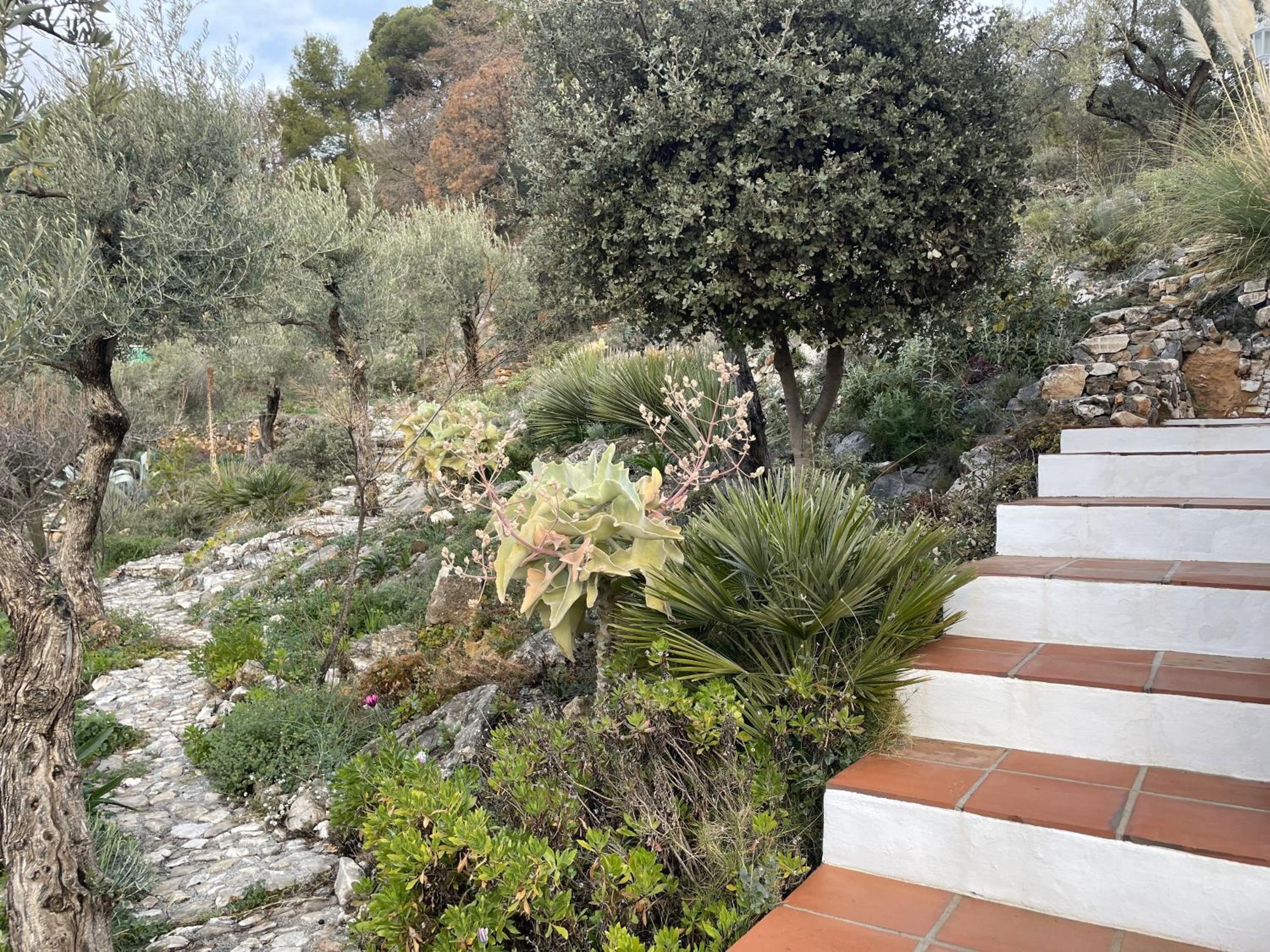 casita las Perlas