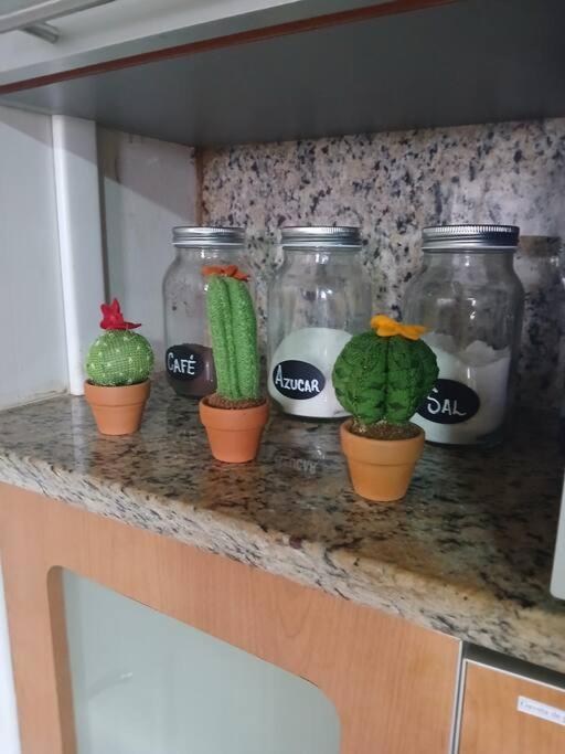 Apartamento Tipo Estudio en Playa el Ángel, Maneiro Pampatar Isla de Margarita