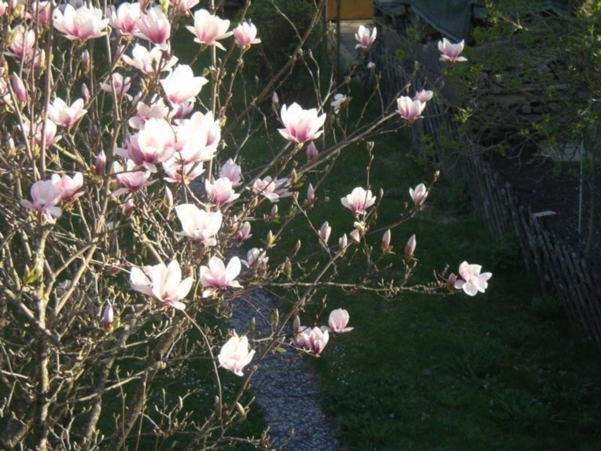 Gemütliche Ferienwohung Mit Großem Garten
