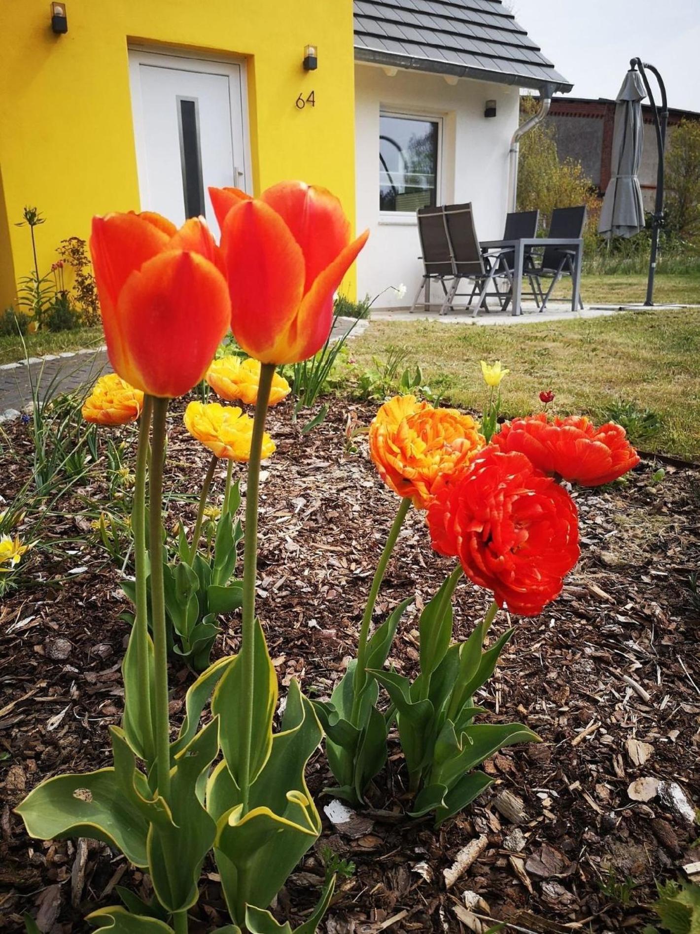 Fh Salzhaff Urlaub