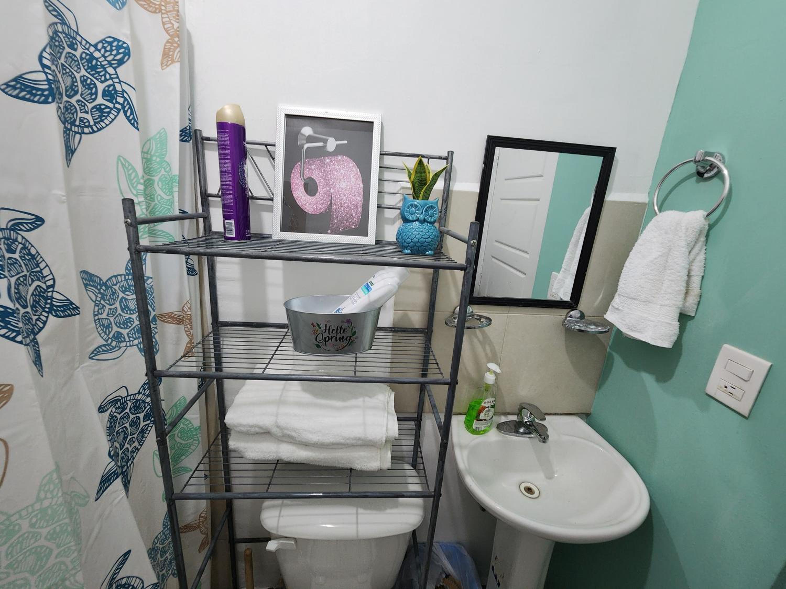 Photo 11
