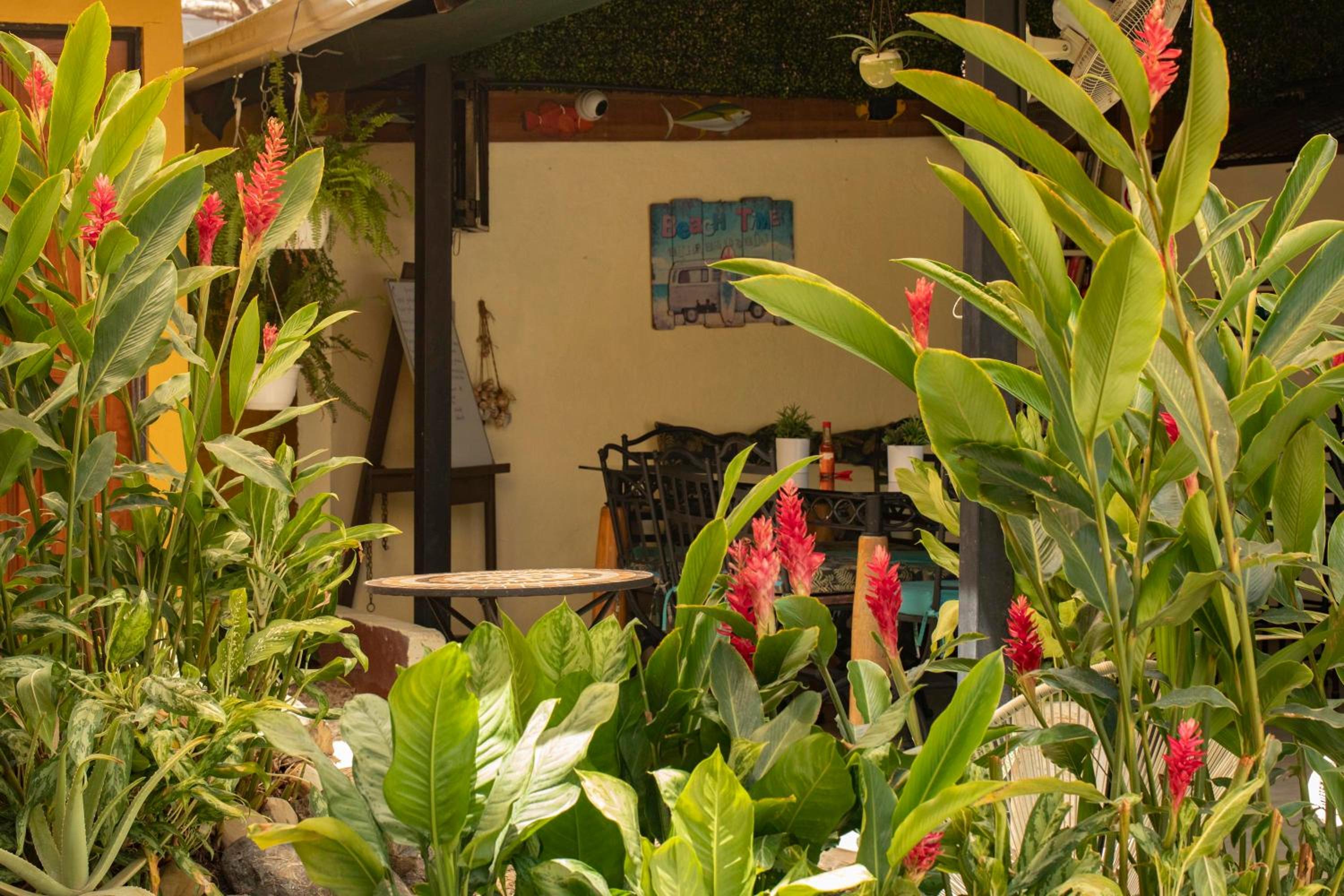 Hotel Laura's House