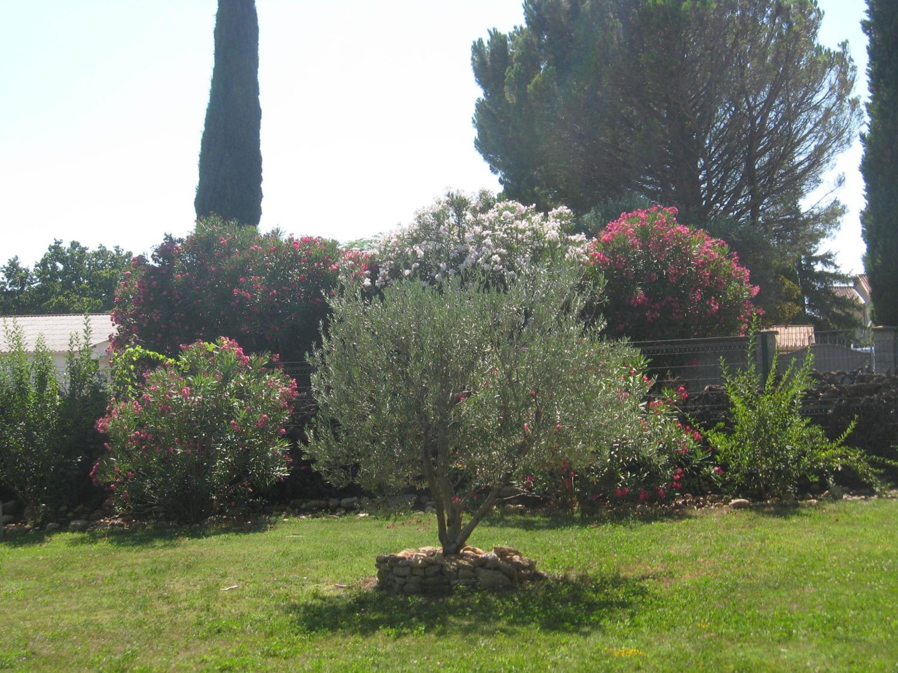 Mas Du Puits, photo 2
