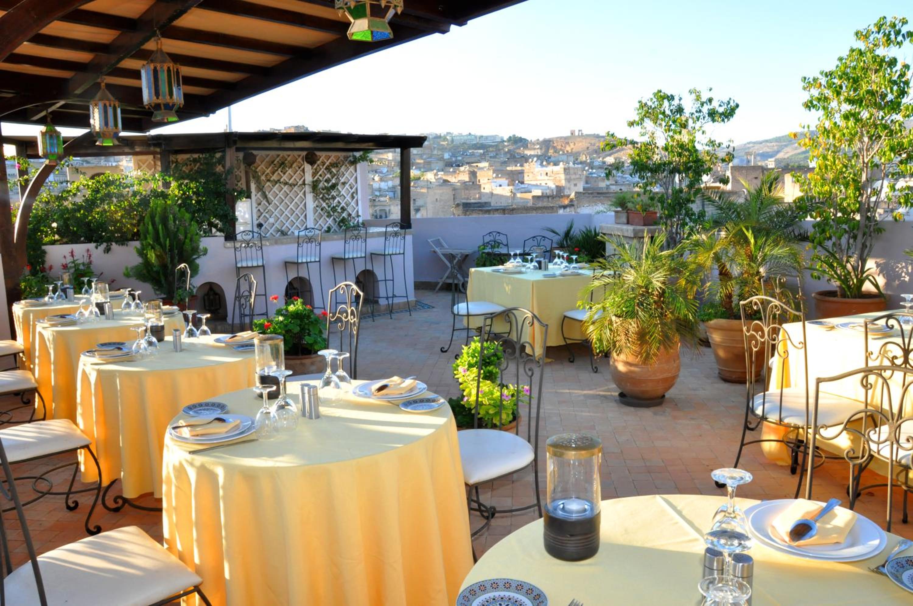 Riad Andalib - Image 4