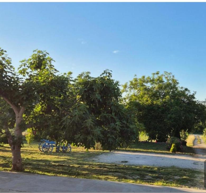 Apartment near centar for 2+1 at Pula, with garden and free parking view 5