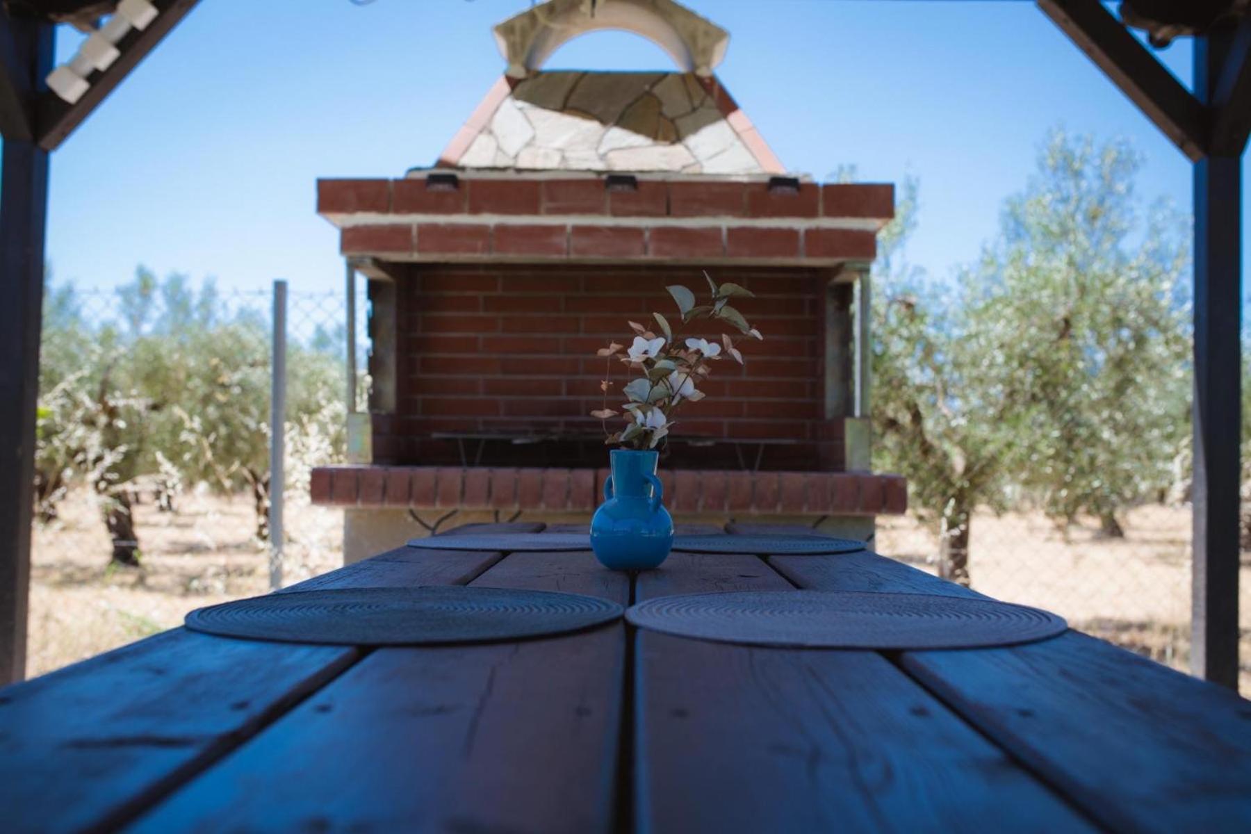 Armonia House
