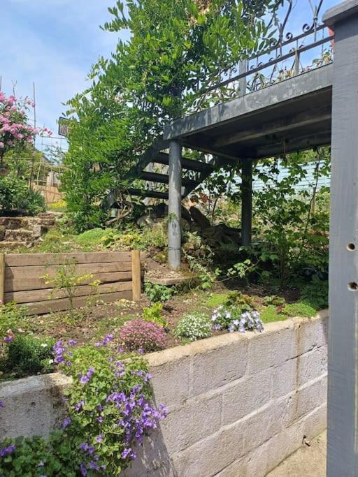 The Conifers, 3 Room, Small but Stylish Self Catering Flat in Nature Reserve Free Eden or local taxi b4 9pm no lounge view 2