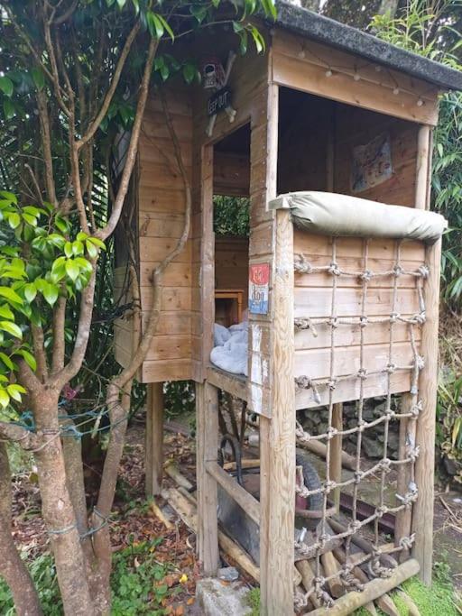 Photo 17