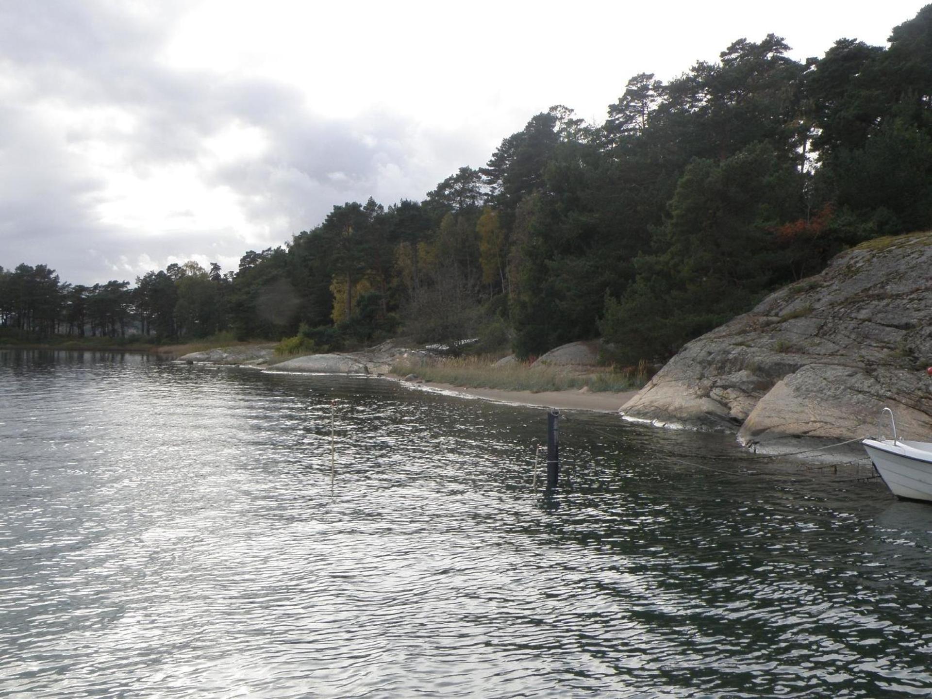 Photo 20
