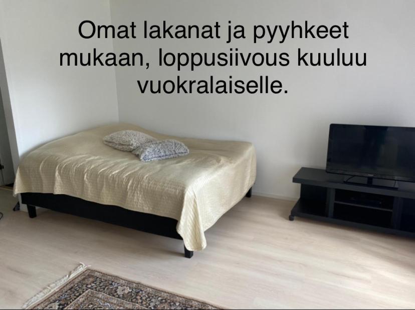 Viihtyisä itsepalvelumajoitus, tilava saunallinen yksiö