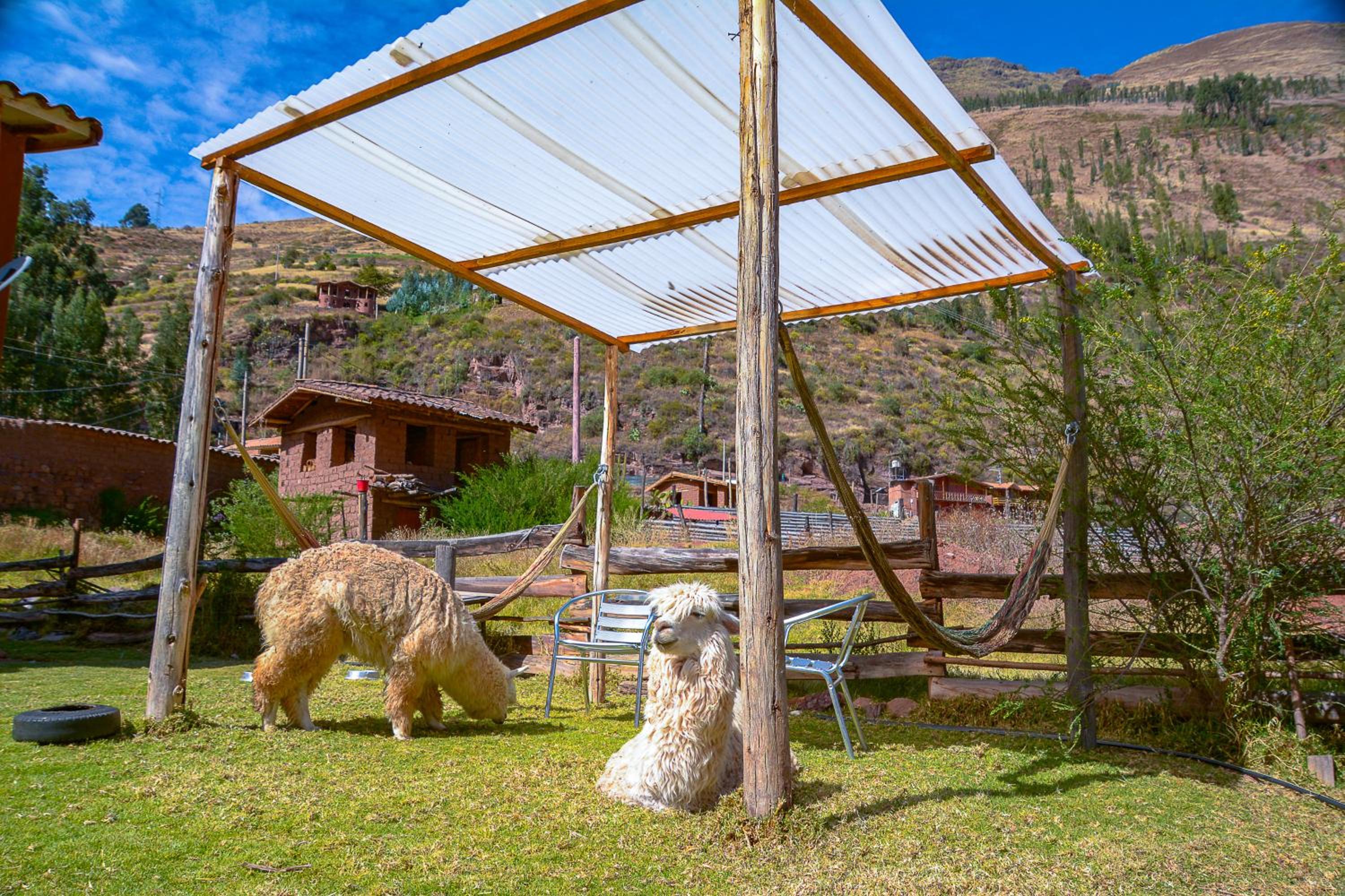 MANCHITAS WASI view 5