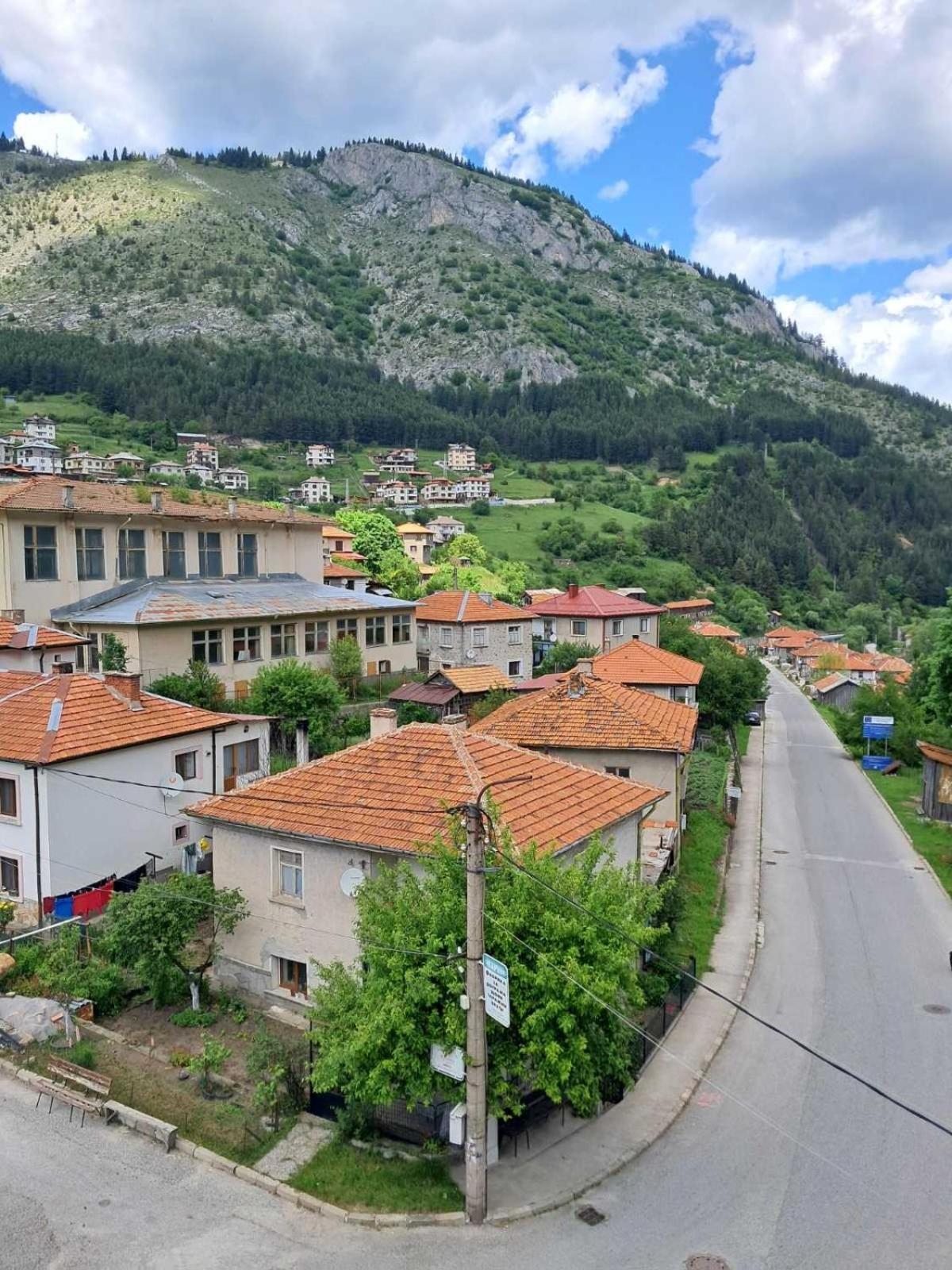 Katerci