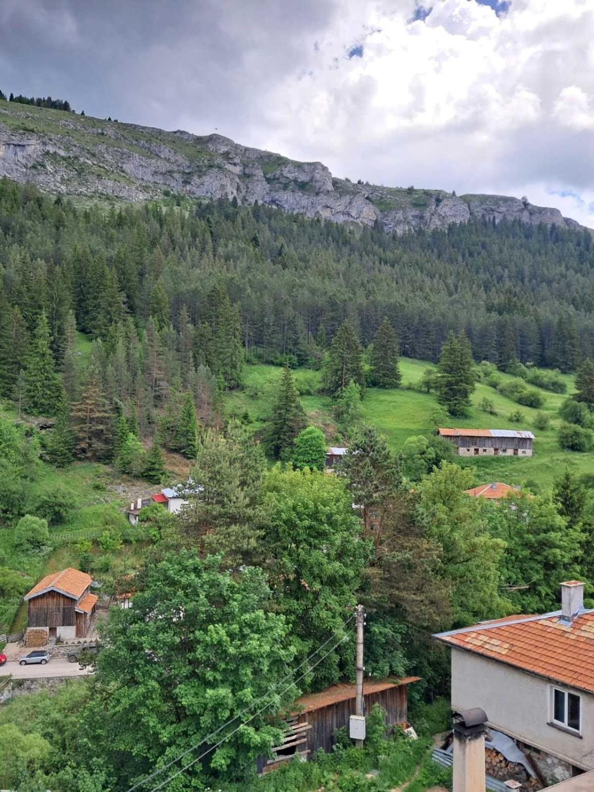 Katerci