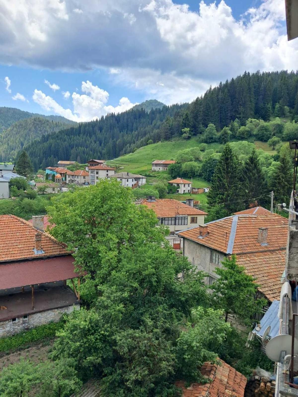 Katerci