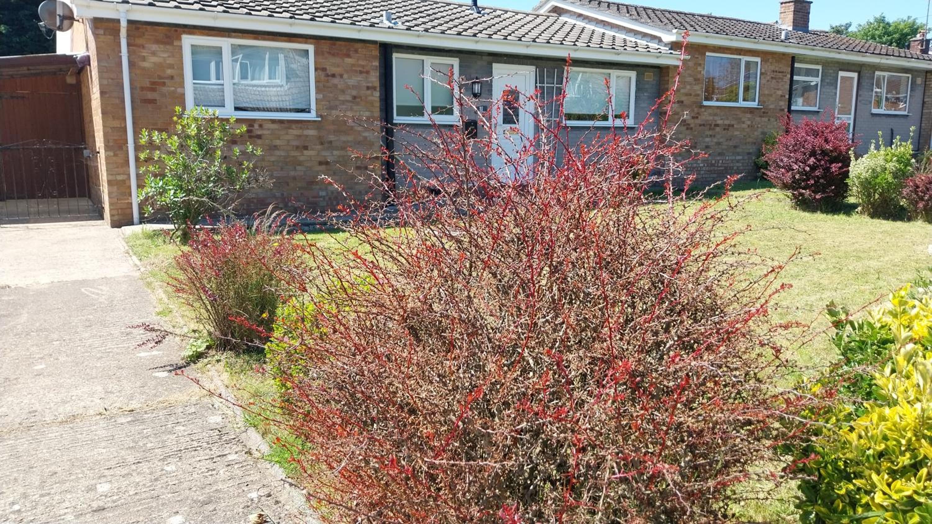 other
