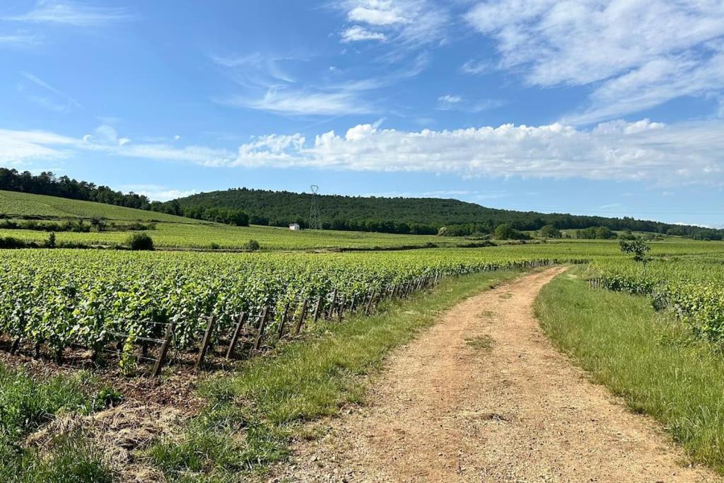 Aux Champs Perdrix