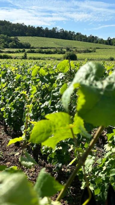 Aux Champs Perdrix