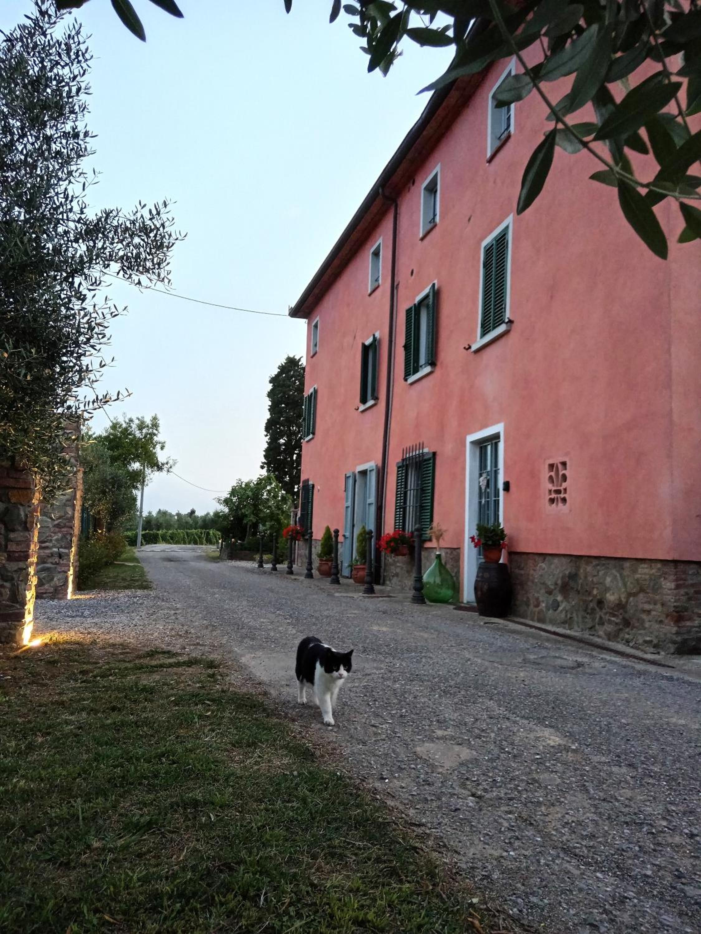 Photo 20
