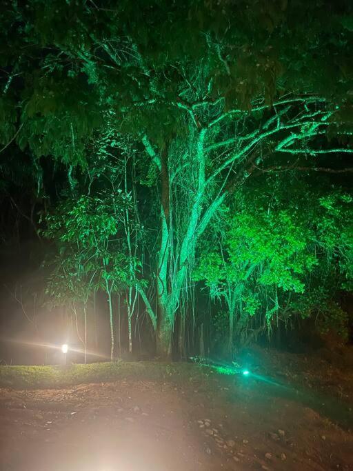 Chalé rural- hospedagem e experiência!