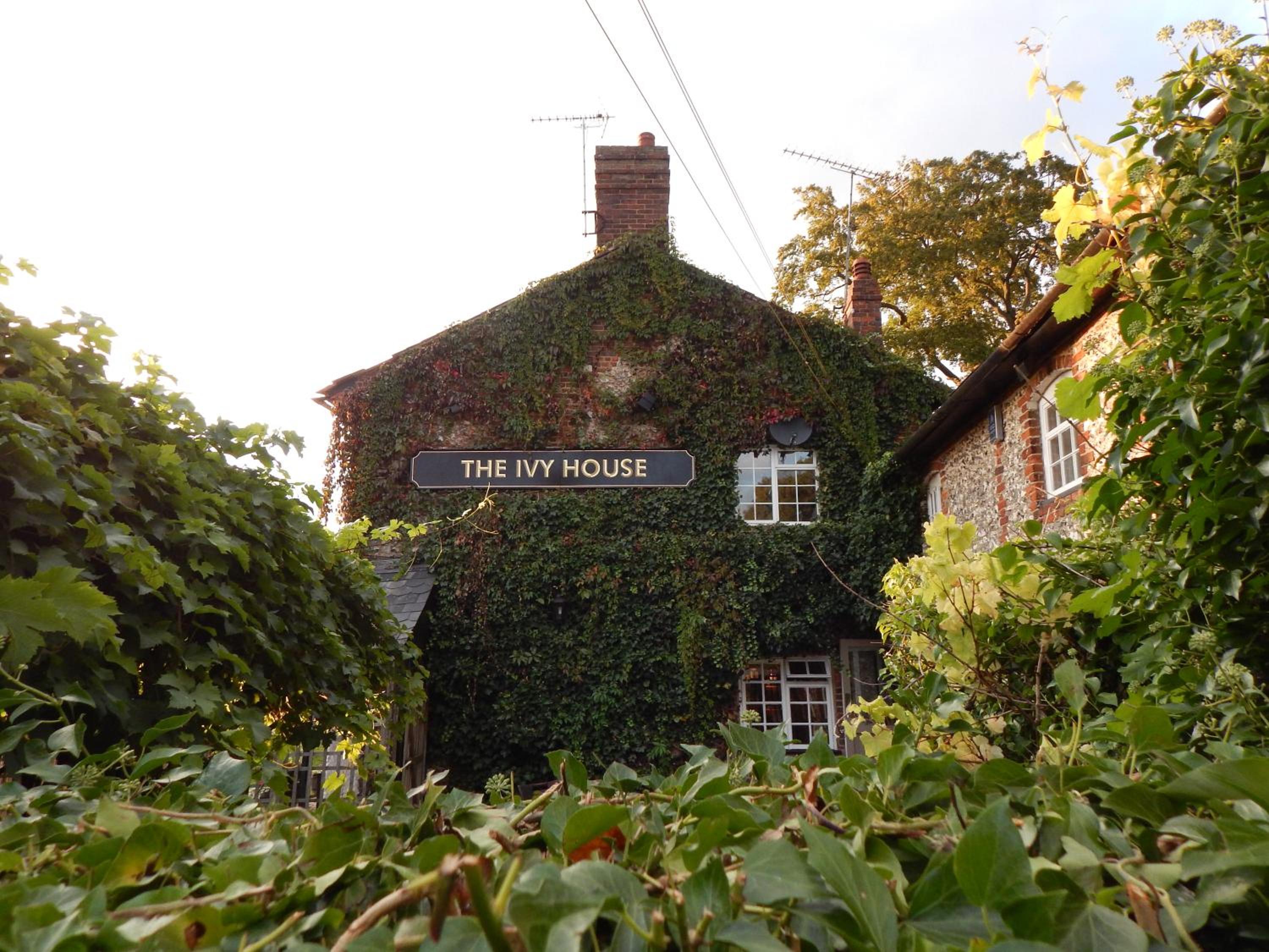 The Ivy House