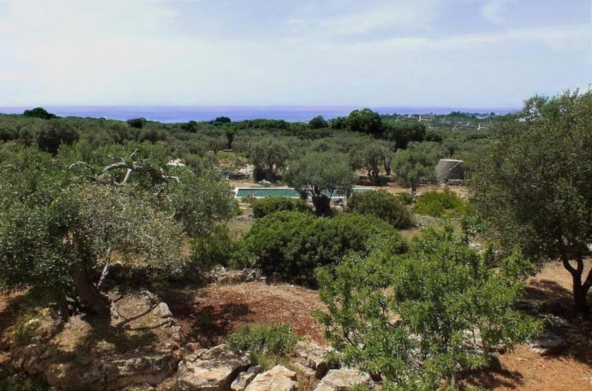 Architektenvilla mit Meerblick im Süden Apuliens