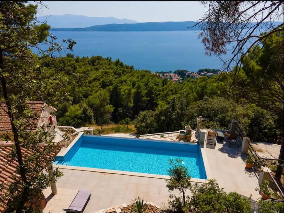 Villa Virida - Private and Quiet view 4