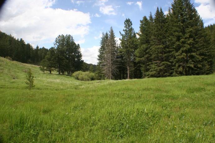 Tenderfoot Creek Cabin view 4