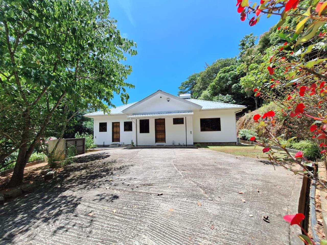 Maison Palmier photo 2