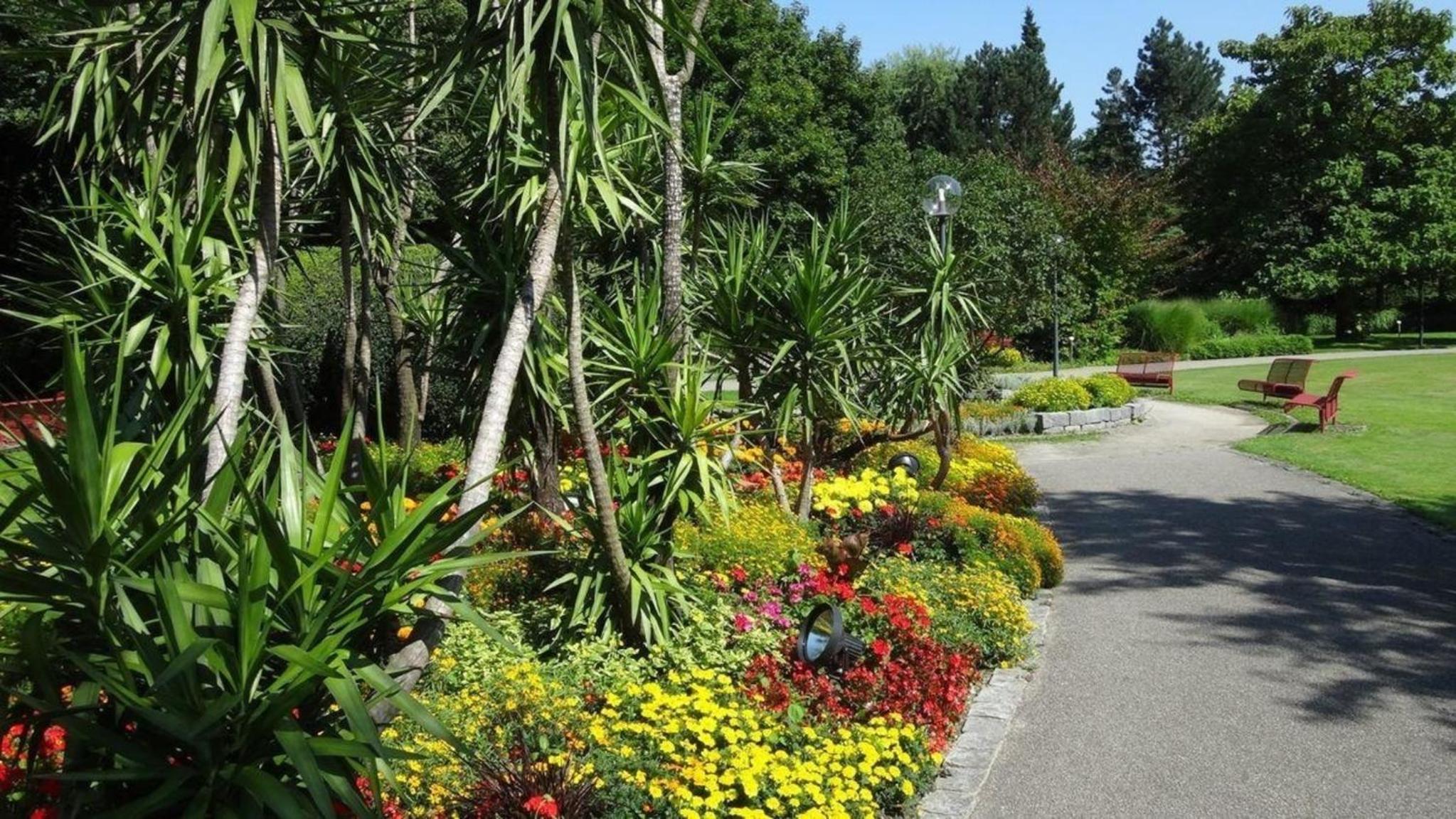 Herrliche Ferienwohnung mit Grill und Garten