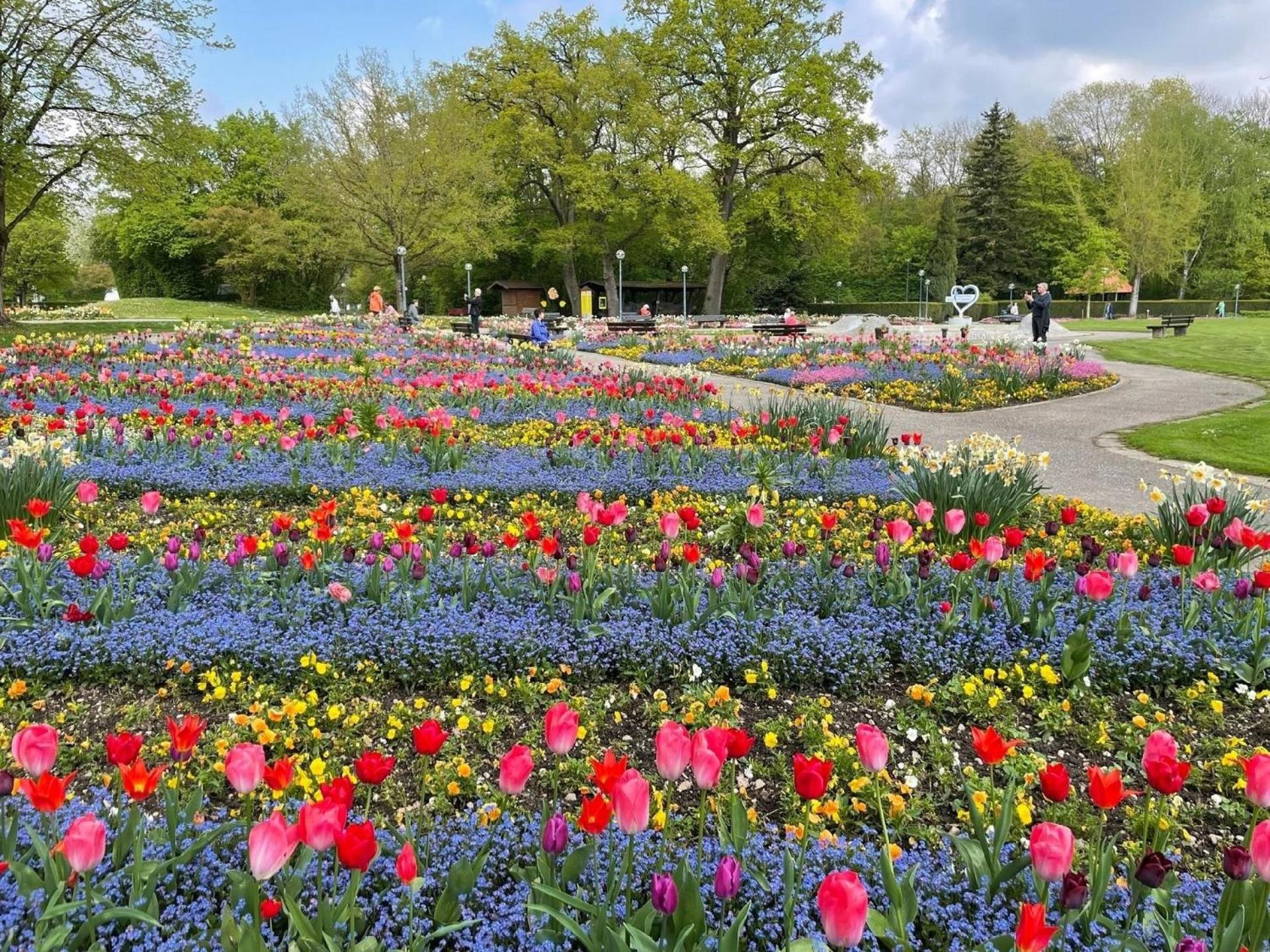 Herrliche Ferienwohnung mit Grill und Garten