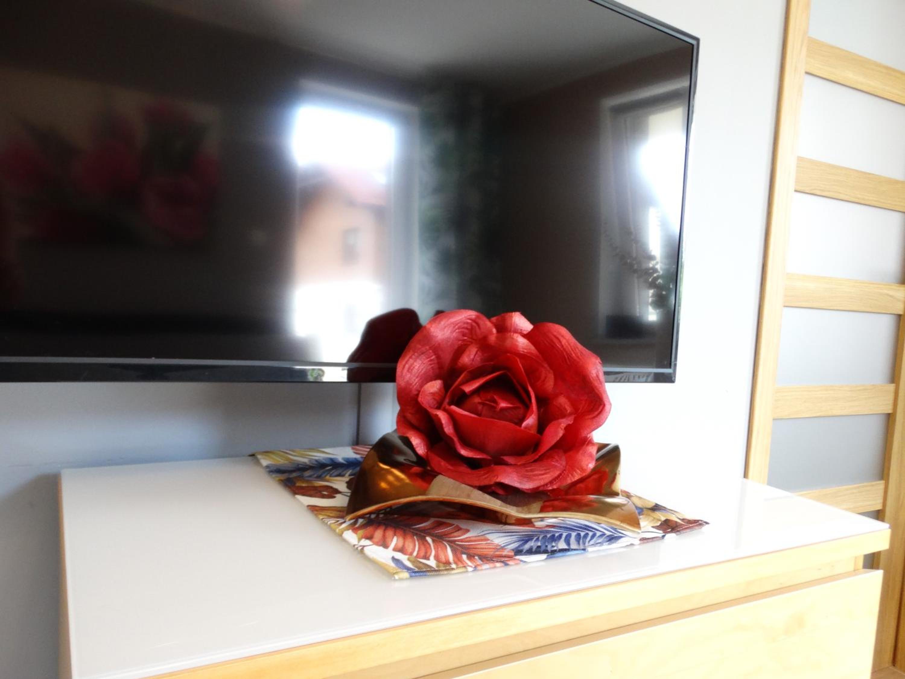 Apartamenty Miku - Polanica-Zdrój view 4