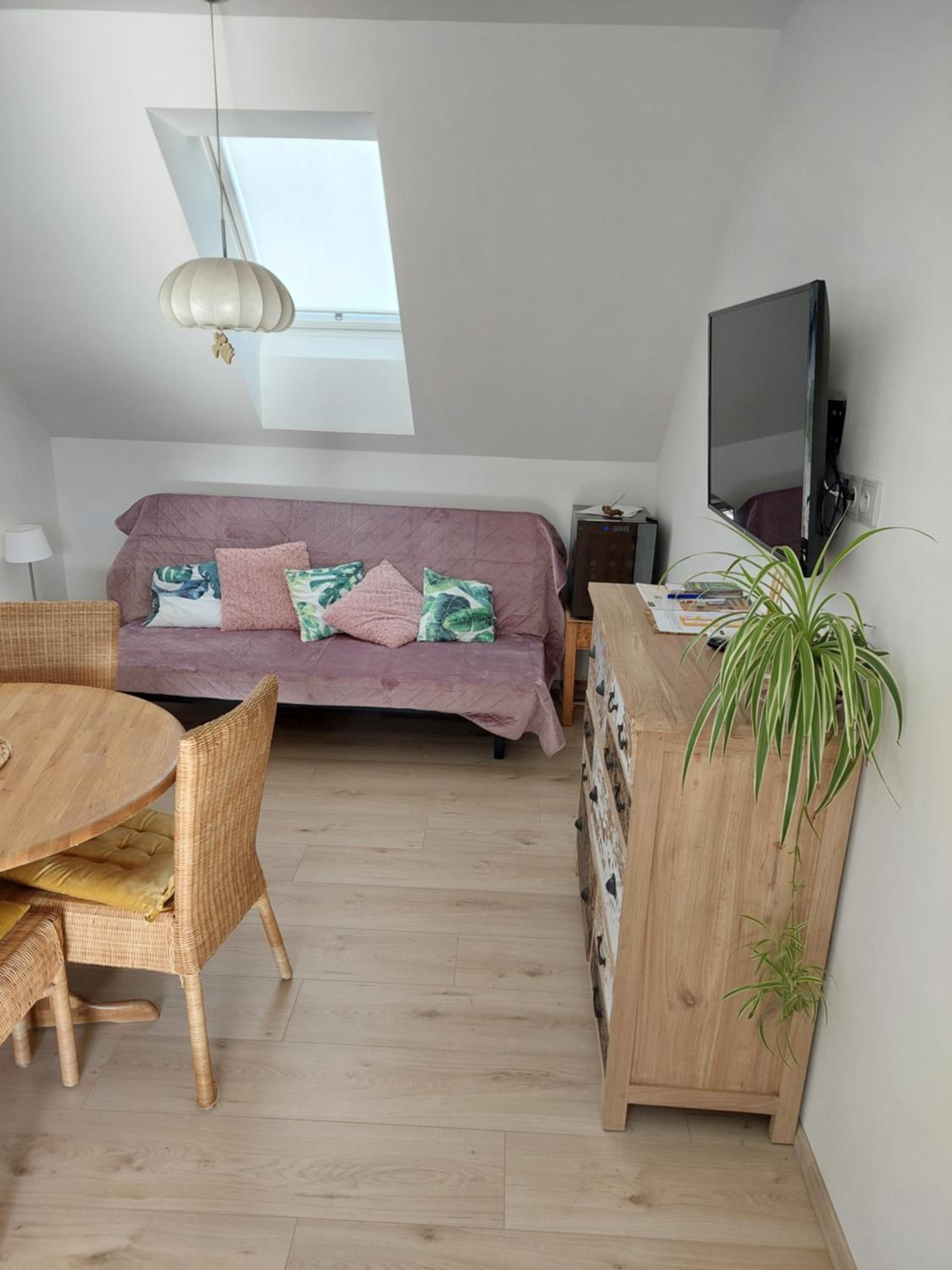 Apartmá U rybníčku