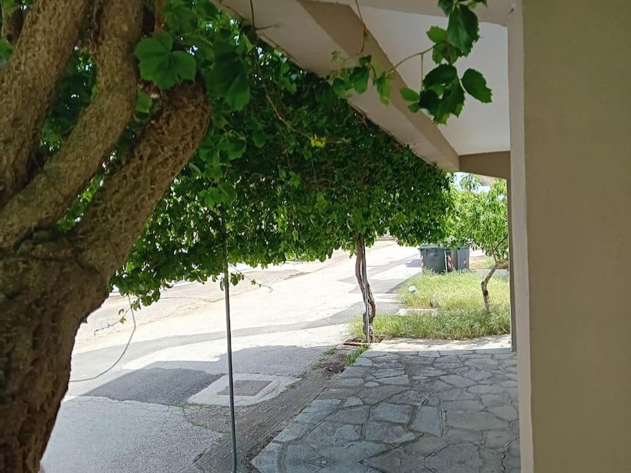 Summer house Erateino