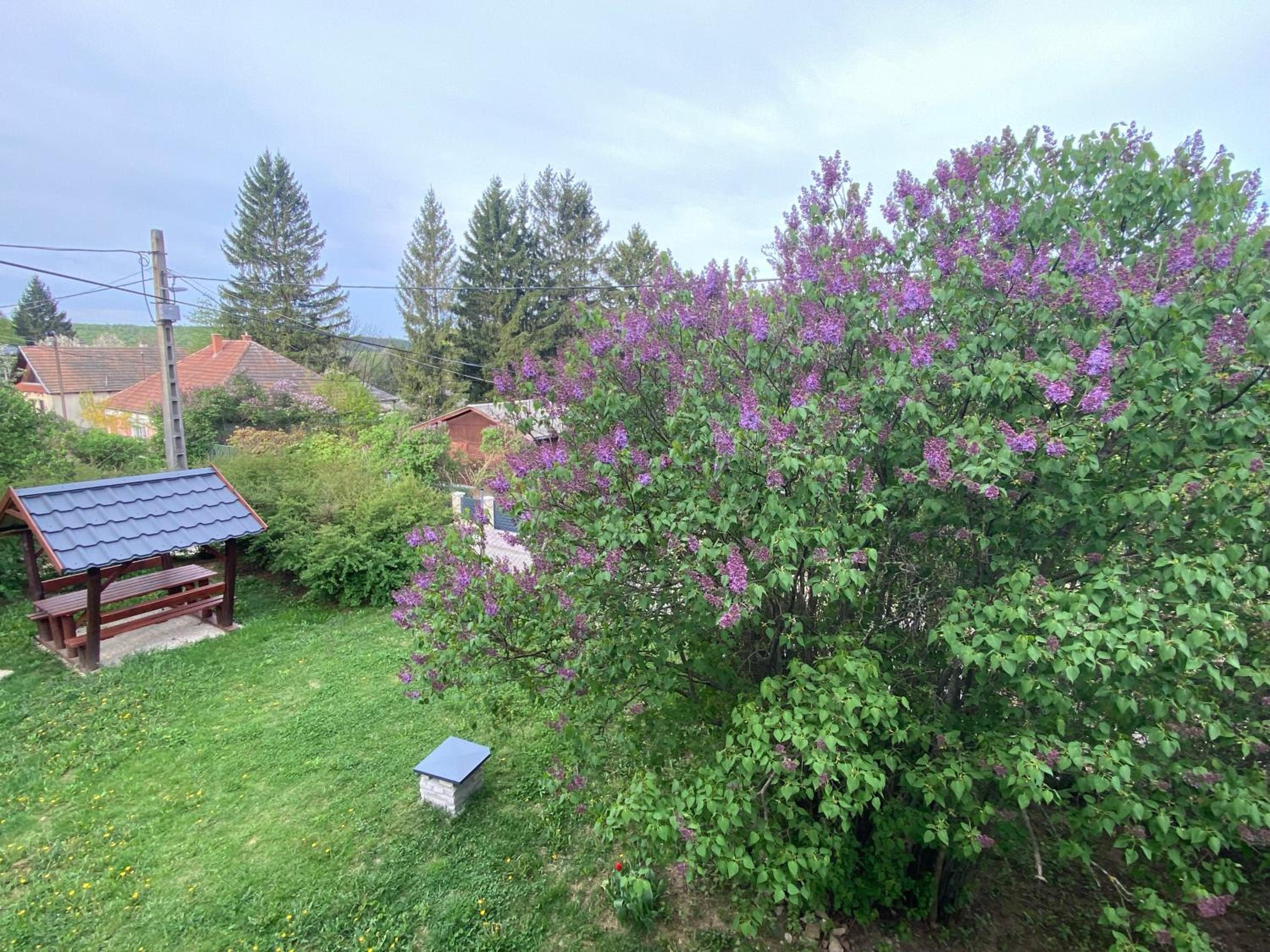 Lilakő Apartman