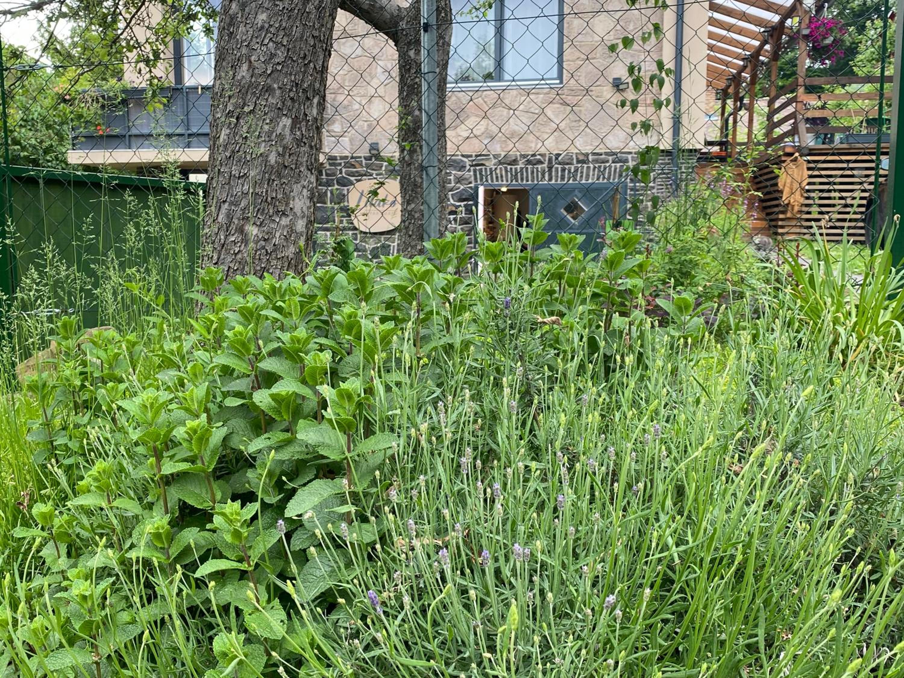 Lilakő Apartman