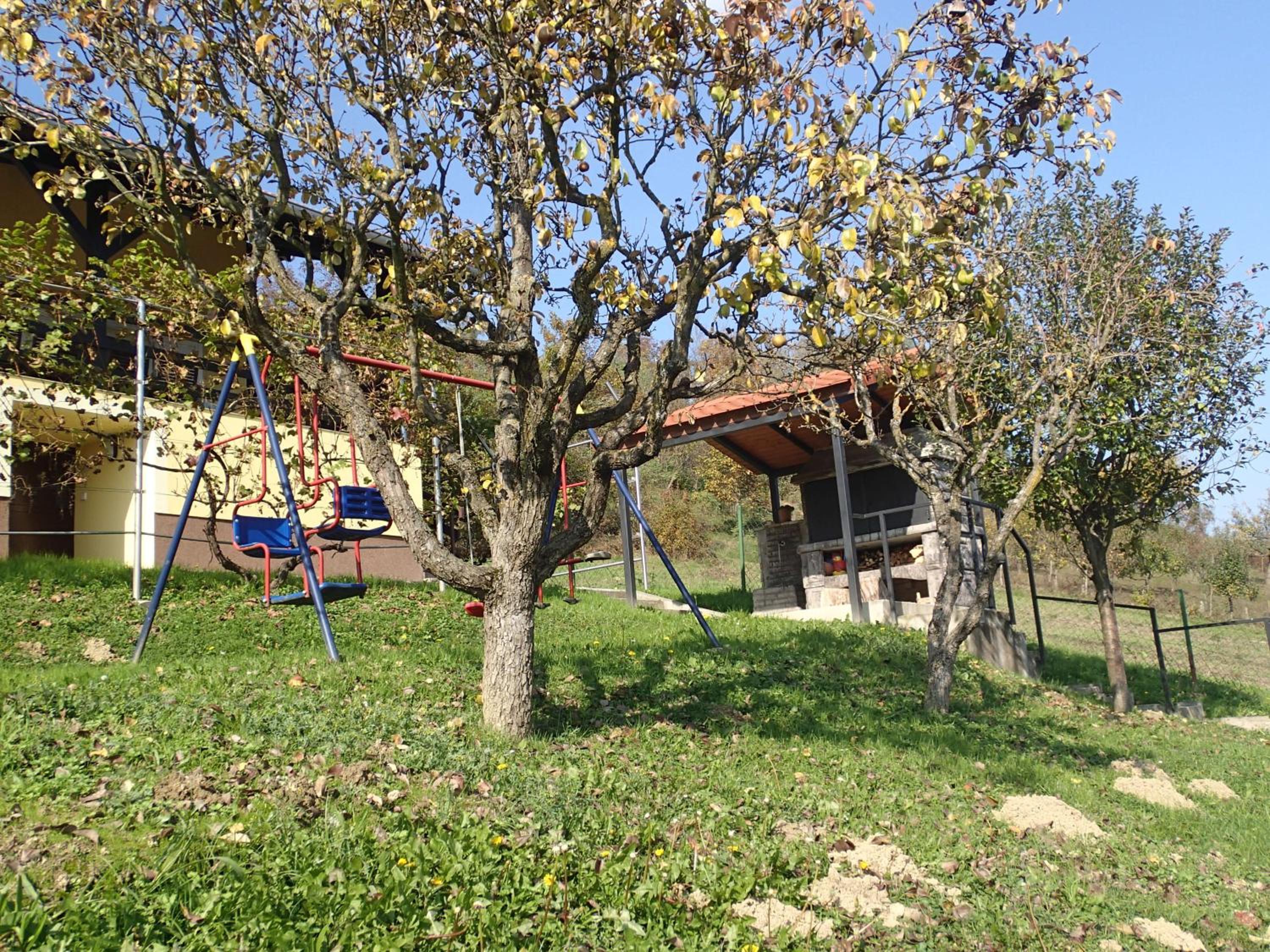 Photo 25