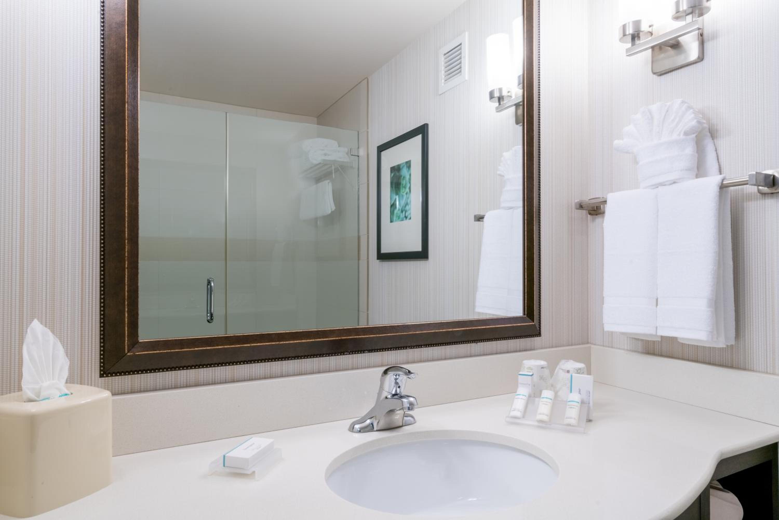 Hilton Garden Inn Valley Forge/Oaks - Property Image 15