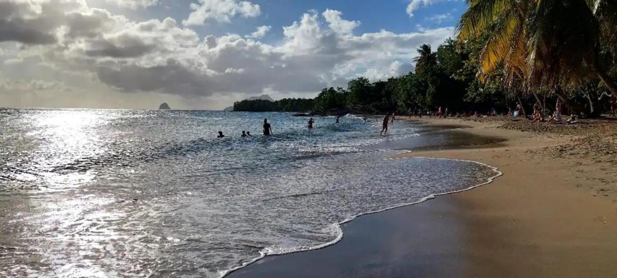Studio Babzou - Vue mer-Calme-Piscine-Jacuzzi-Plage-Bar view 4
