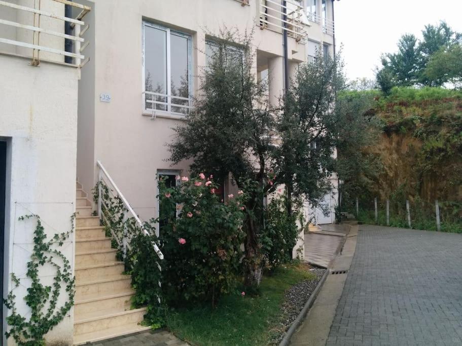 Exclusive Apartment