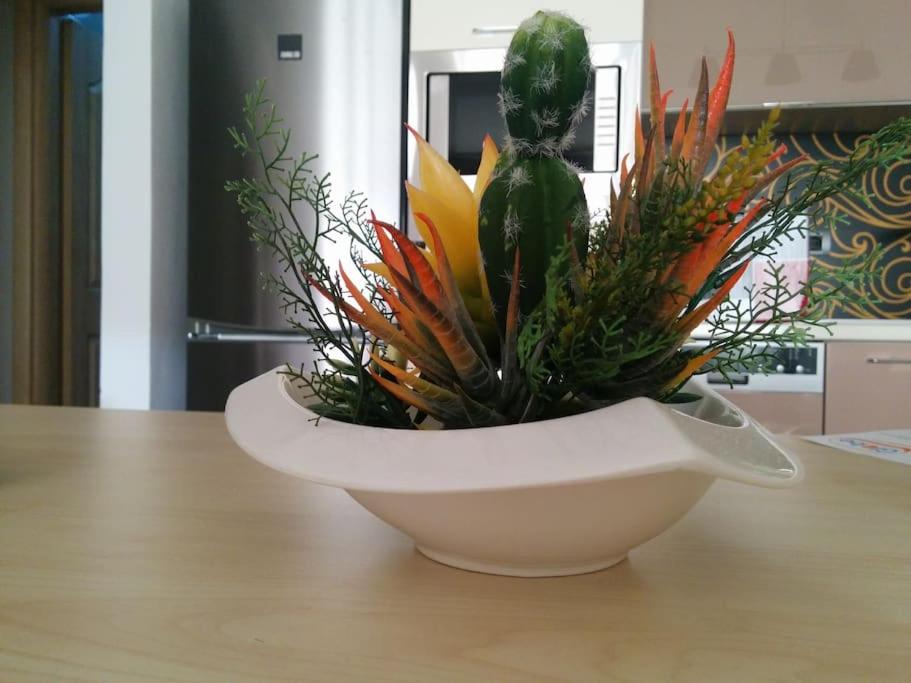 Exclusive Apartment