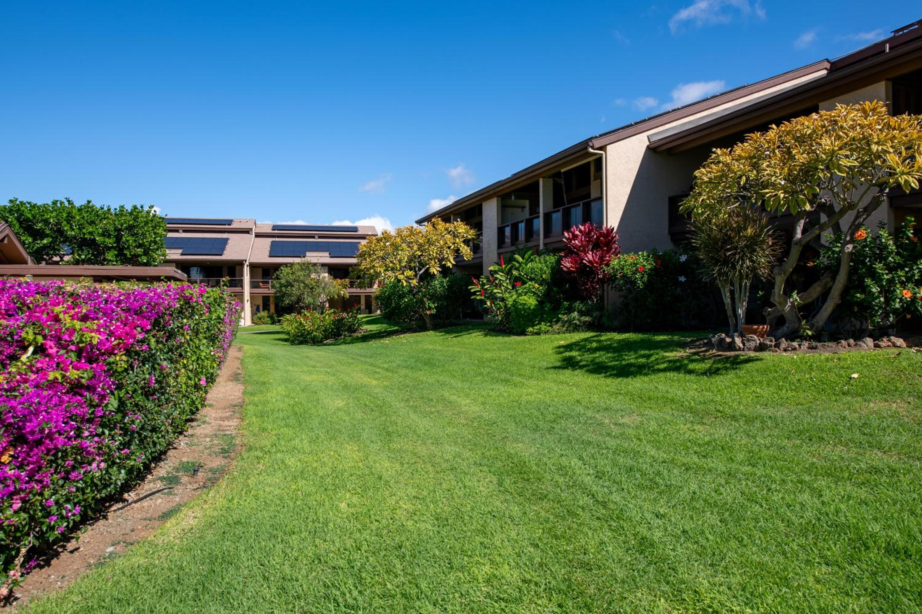 Hotel Hale Polū - Image 1