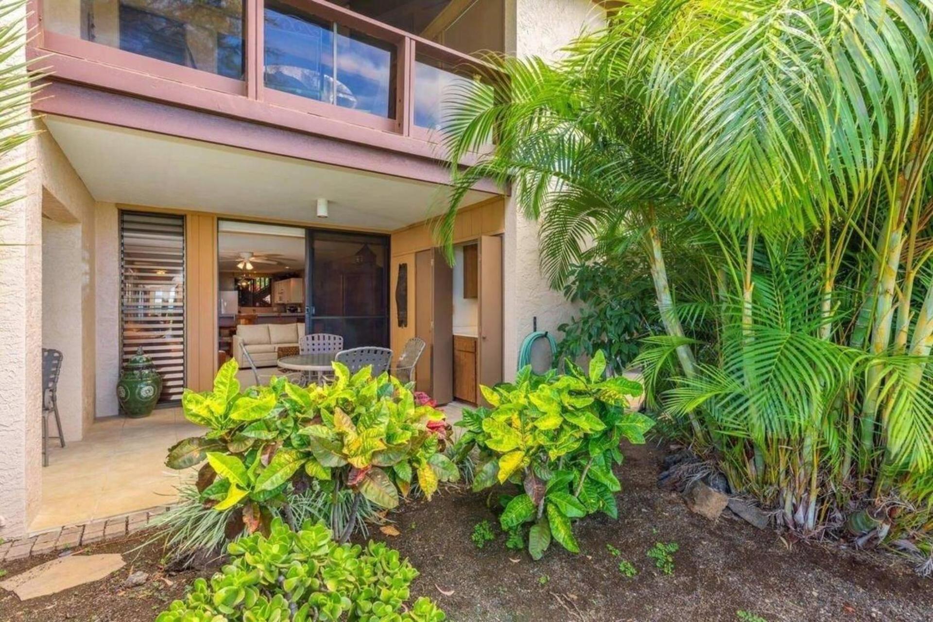 Koa Dream view 4