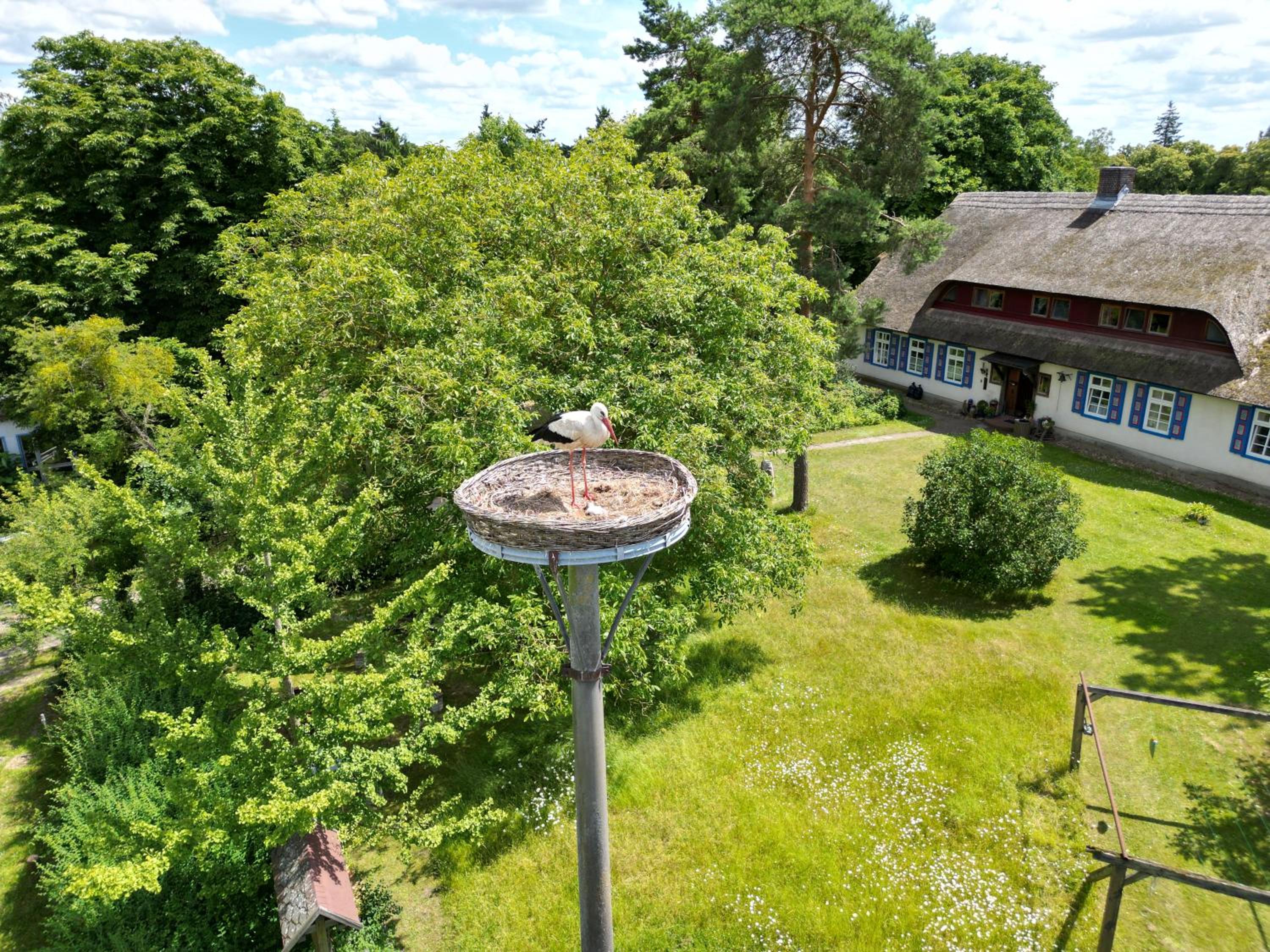 Pfarrhaus Tollensesee