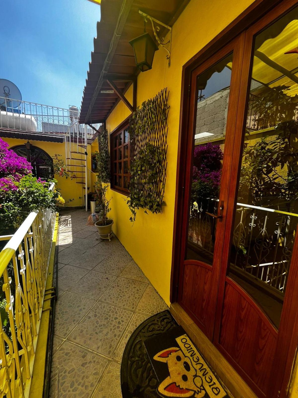 Casa Solange — Mexico City