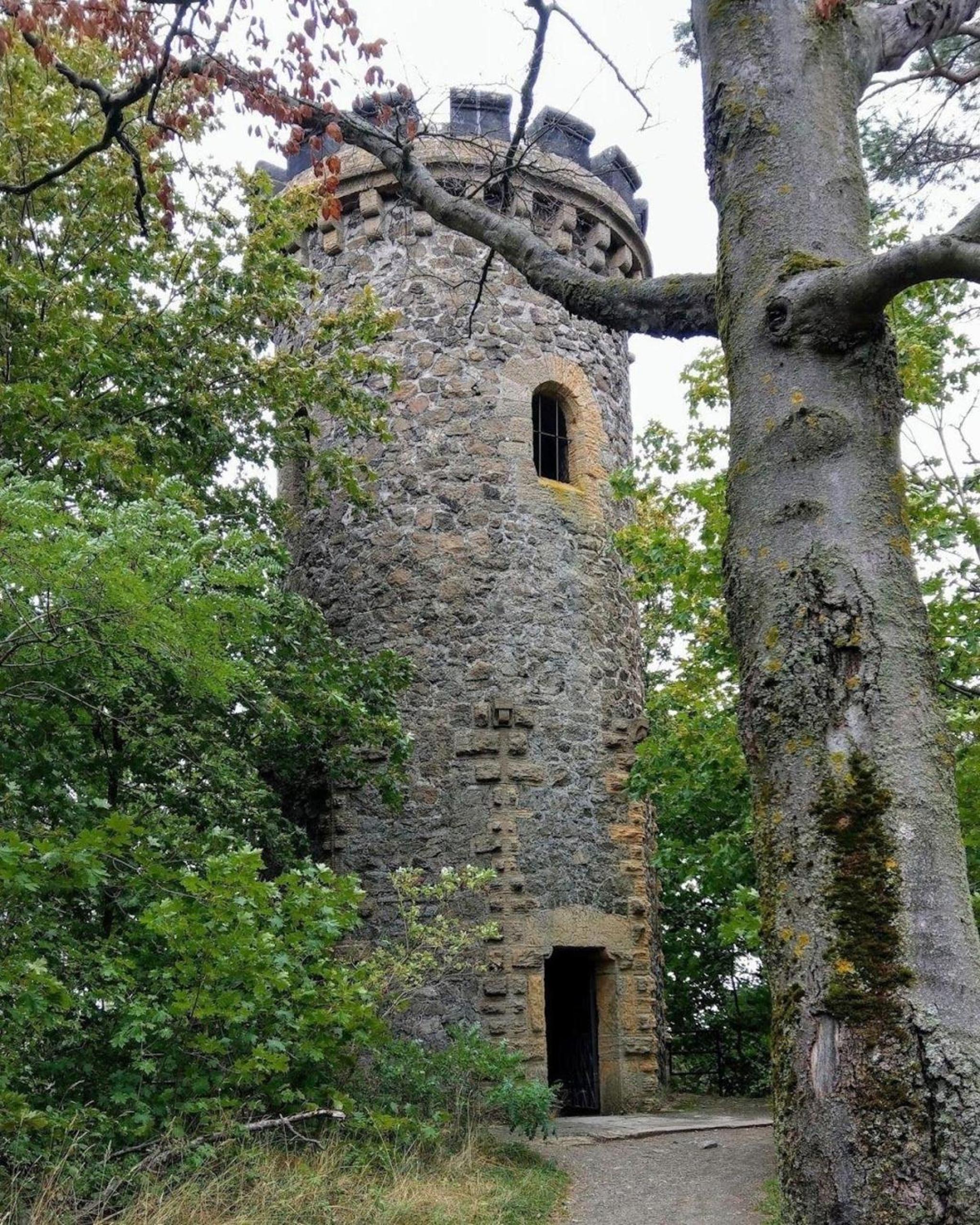 Ferienwohnung in Goslar mit Terrasse und Grill