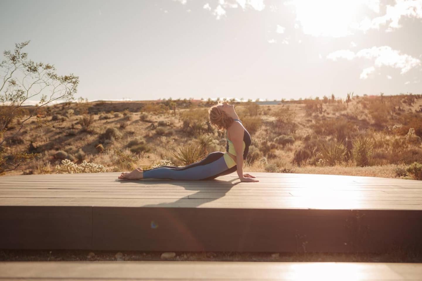 Yin And Yang The Perfect Joshua Tree Retreat - Property Image 50