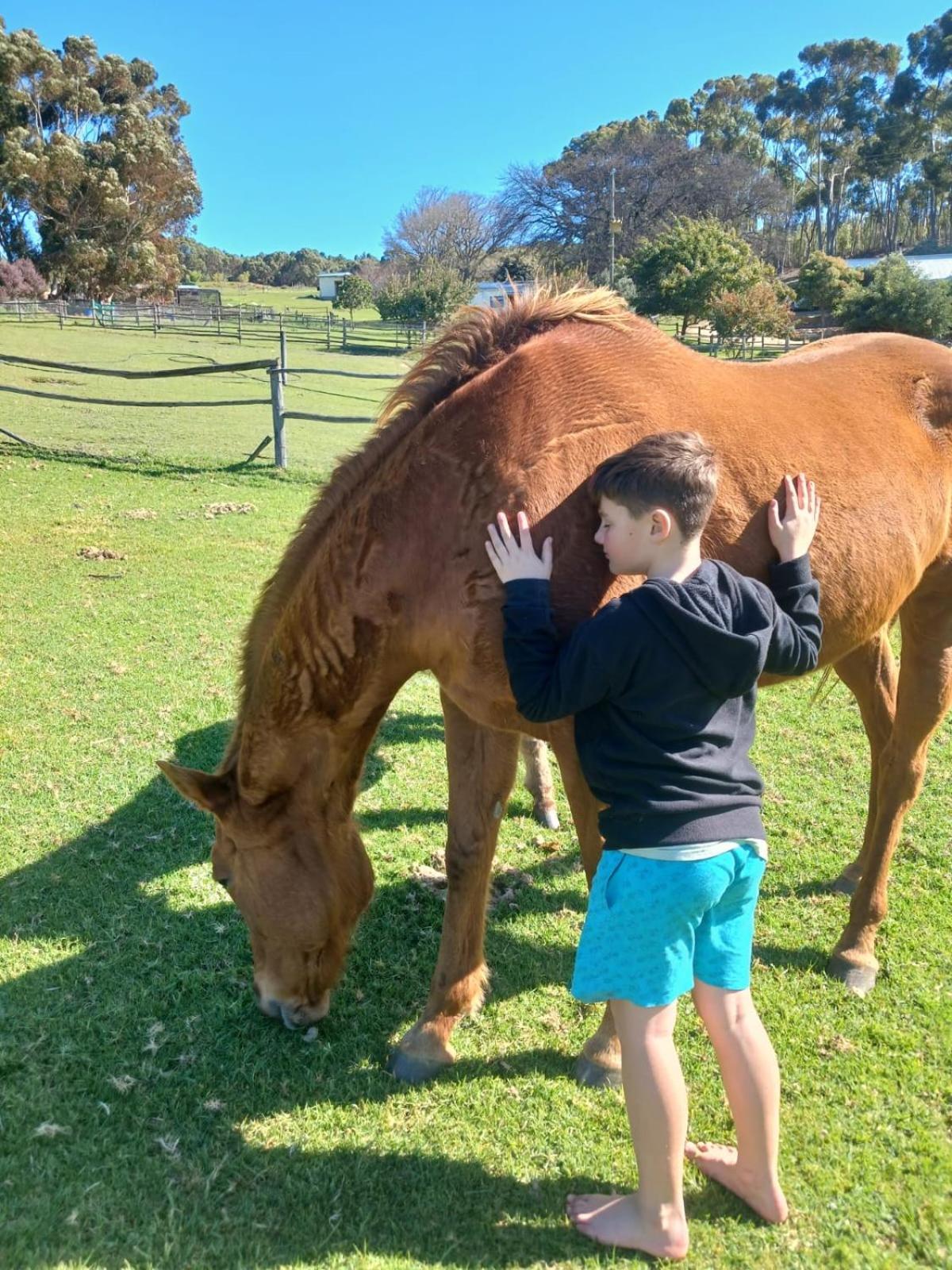 Kleinwatervalplaas Farm Stay Accomodation