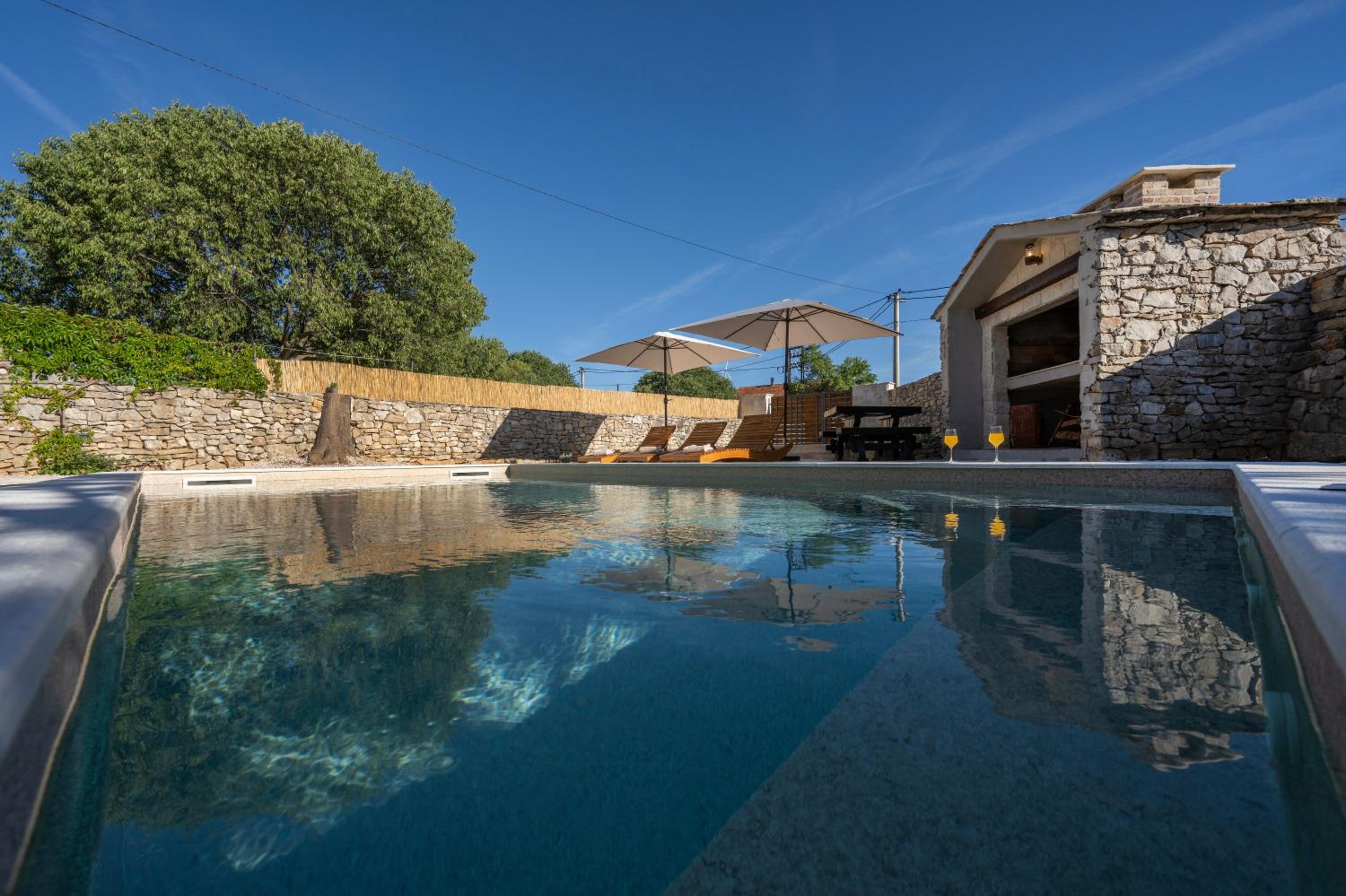Hedonica house